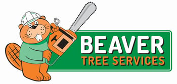 Beaver Tree logo