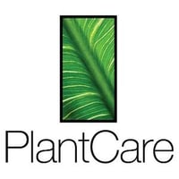 plant care