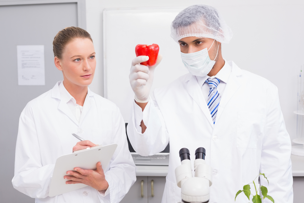 Scientist examining peppers while colleague writing in clipboard in the laboratory